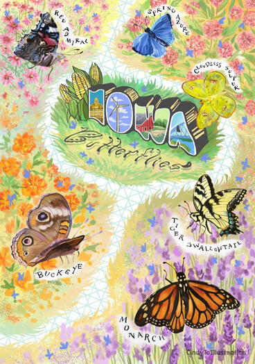 Iowa Butterfly Identification Poster