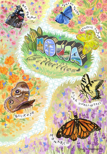 Iowa Butterfly Identification Poster